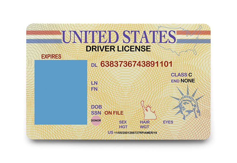 blank license