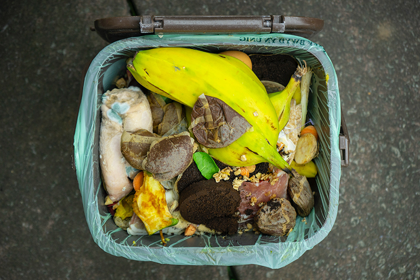 trash can full of food waste only