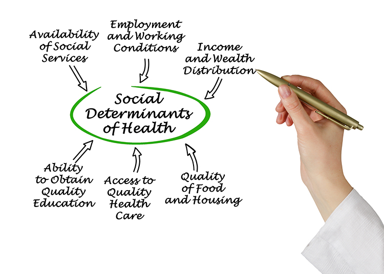 Addressing the Social Determinants of Health Upstream Institute for