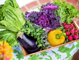 January 2023. Federal and California State Efforts to Improve Nutrition through Policy