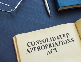 March 2023. Consolidated Appropriations Act, 2023 (H.R. 2617)