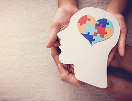 November 2023. California’s Mental Health Services Act Reform