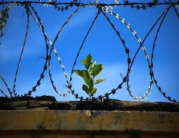 January 2024. Incarceration and Healthcare