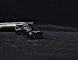 September 2024. Firearm Violence