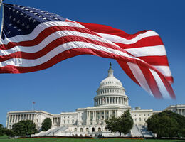 flag flying with capitol hill building in background