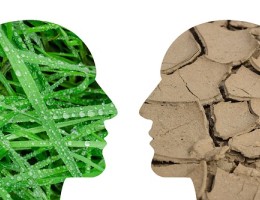 Silhouette of two faces looking at each other with one face showing green grass and the other face showing cracked brown ground