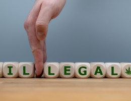 Dice form the word "ILLEGAL" while a hand separates the letters "IL" in order to change the word to "LEGAL"