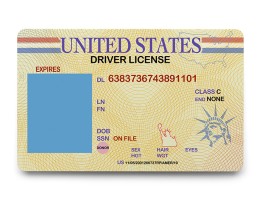 blank license