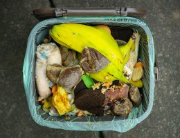 trash can full of food waste only