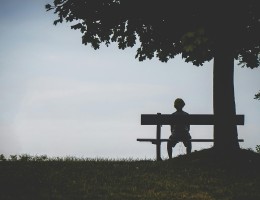 someone sitting on a bench in a park in silhouette