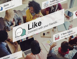 social media boxes 